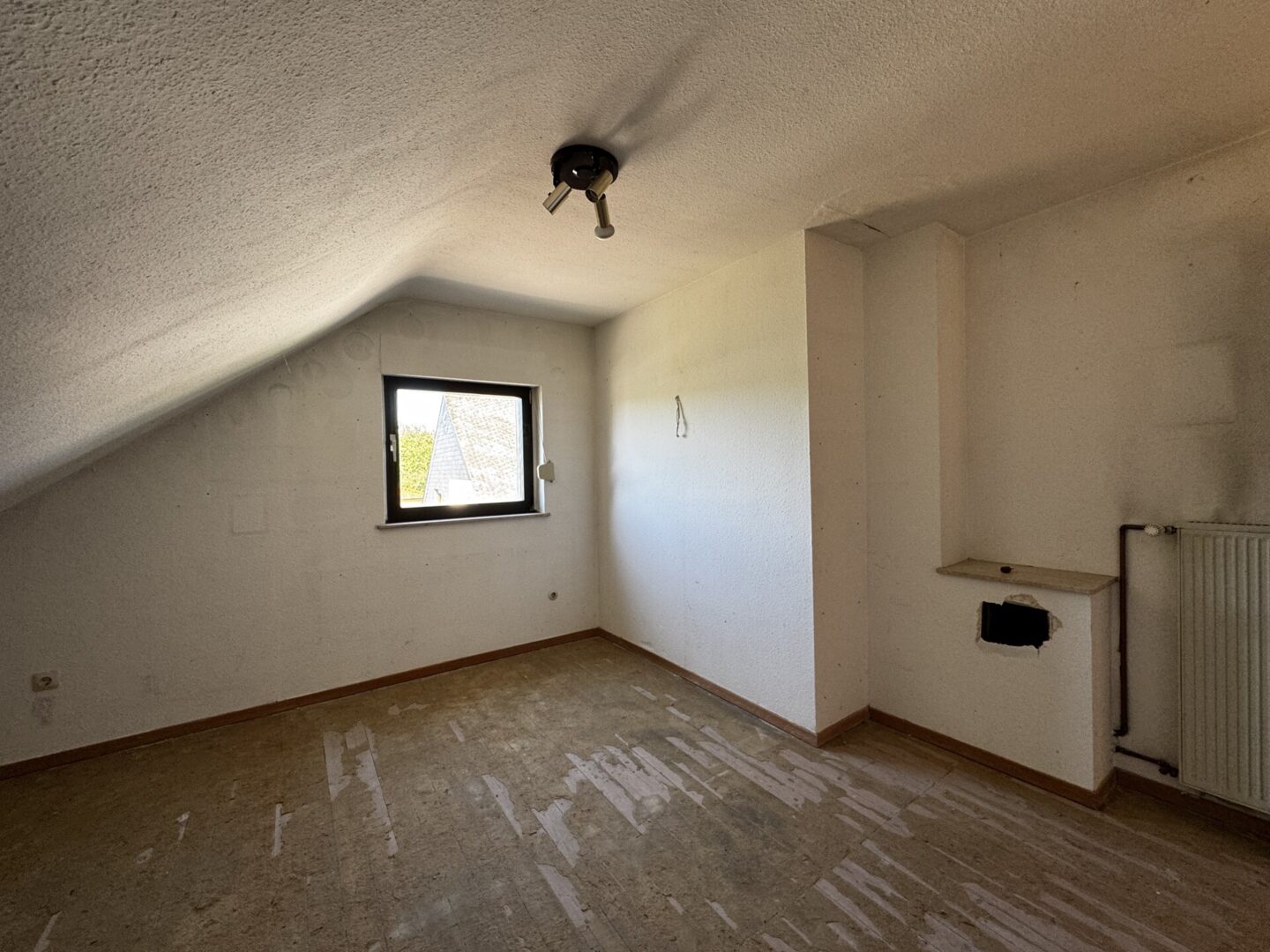 Zimmer DG