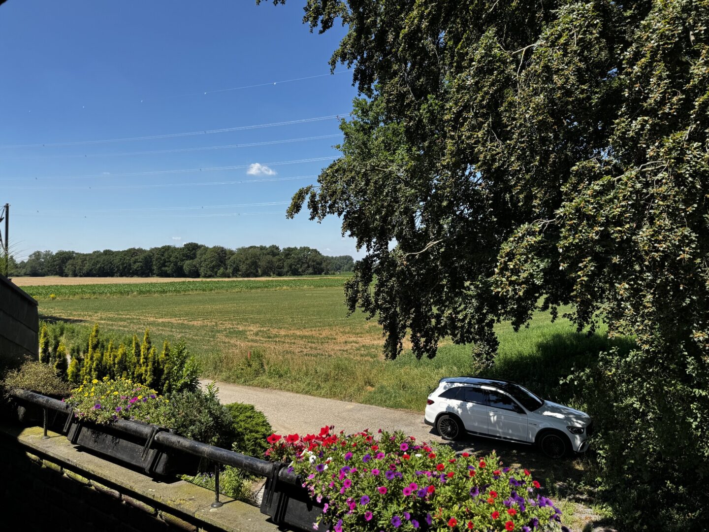 Aussicht Balkon