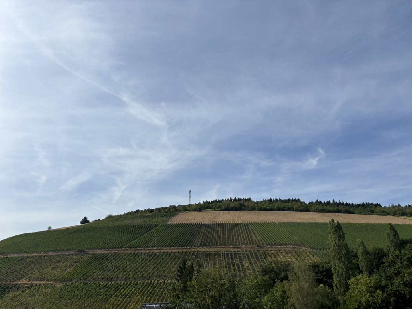 Ausblick vom Balkon