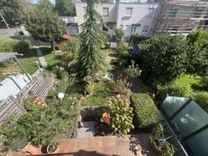Blick in den Garten